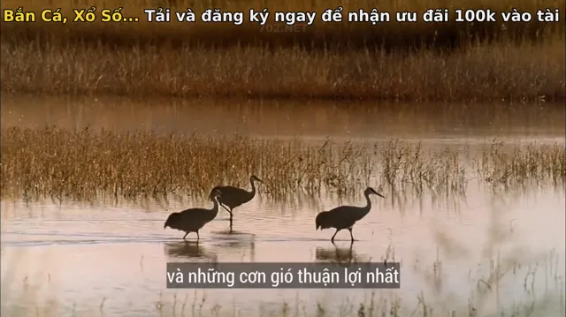 Xem phim Hành Trình Kinh Ngạc Vietsub HD tại PhimMoiHot Xem phim Hành Trình Kinh Ngạc Vietsub HD tại PhimMoiHot