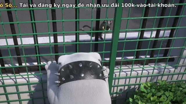 Chú Mèo Đi Lạc tập 1 Vietsub HD - PhimMoiHot Chú Mèo Đi Lạc tập 1 Vietsub HD - PhimMoiHot