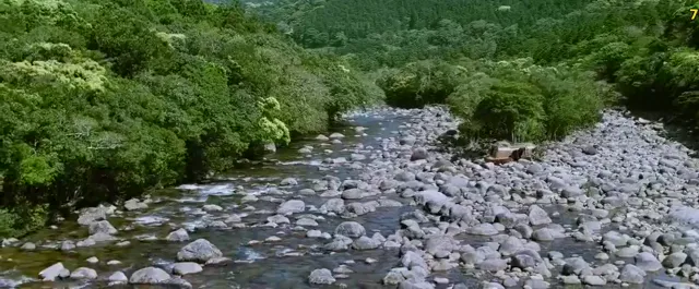 Hình ảnh phim Sinh Tồn Nơi Hoang Dã trên PhimMoiHot Hình ảnh phim Sinh Tồn Nơi Hoang Dã trên PhimMoiHot