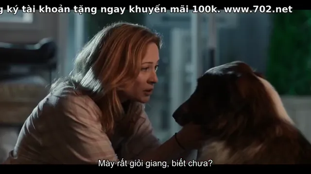 Xem phim Chó cứu hộ Ruby Vietsub HD tại PhimMoiHot Xem phim Chó cứu hộ Ruby Vietsub HD tại PhimMoiHot
