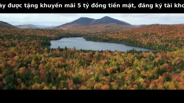 Bad Vegan: Danh tiếng. Lừa đảo. Trốn chạy. 2022 Vietsub HD - PhimMoiHot Bad Vegan: Danh tiếng. Lừa đảo. Trốn chạy. 2022 Vietsub HD - PhimMoiHot