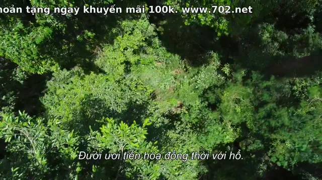 Xem phim Động vật (Phần 2) Vietsub HD tại PhimMoiHot Xem phim Động vật (Phần 2) Vietsub HD tại PhimMoiHot