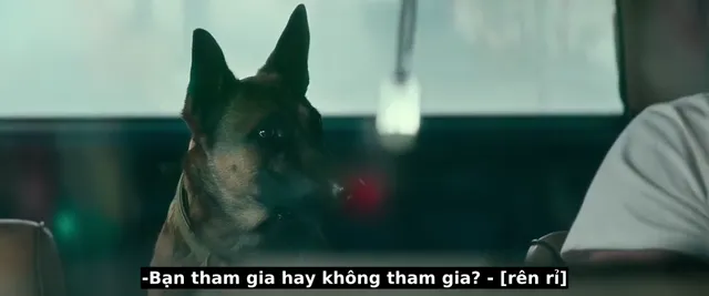 Hình ảnh phim Dog trên PhimMoiHot Hình ảnh phim Dog trên PhimMoiHot