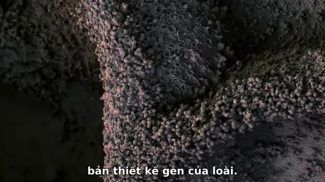 Hành Tinh Xanh tập 3 Vietsub HD - PhimMoiHot Hành Tinh Xanh tập 3 Vietsub HD - PhimMoiHot