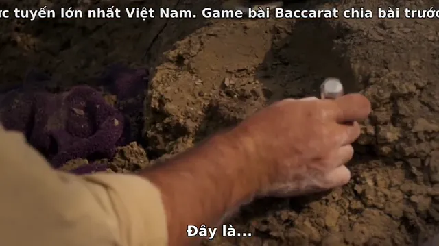 Dinosaurs: The Final Day with David Attenborough 2022 Vietsub HD - PhimMoiHot Dinosaurs: The Final Day with David Attenborough 2022 Vietsub HD - PhimMoiHot