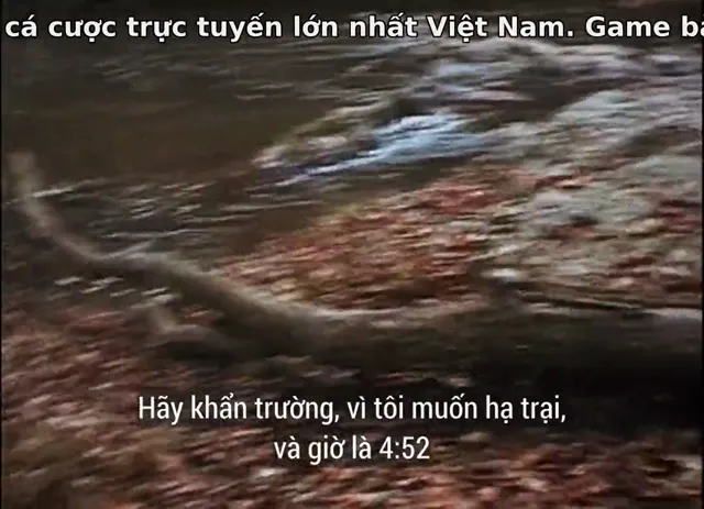 Xem phim Dự Án Phù Thuỷ Rừng Blair Vietsub HD tại PhimMoiHot Xem phim Dự Án Phù Thuỷ Rừng Blair Vietsub HD tại PhimMoiHot