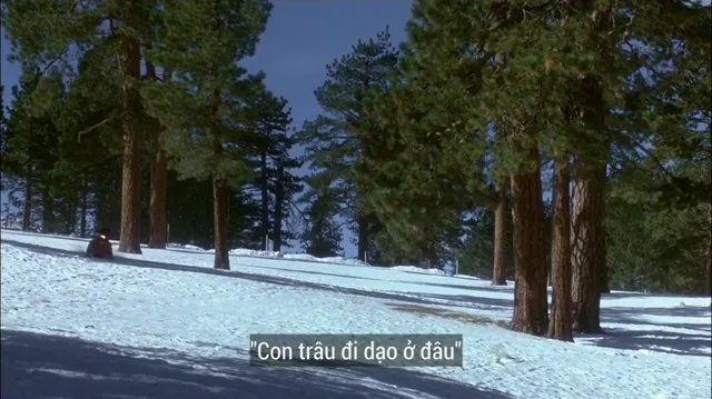 Tòa Án Kiếp Sau 1991 Vietsub HD - PhimMoiHot Tòa Án Kiếp Sau 1991 Vietsub HD - PhimMoiHot