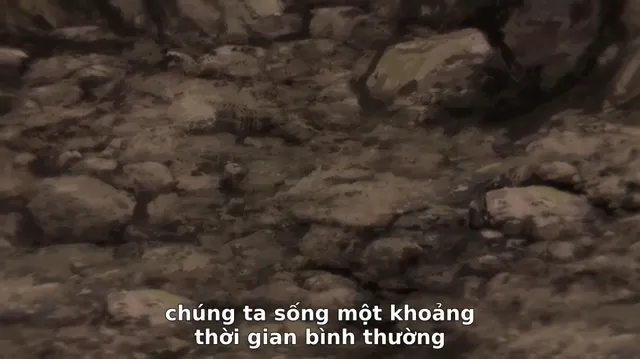 Bách Yêu Phổ 2020 Vietsub HD - PhimMoiHot Bách Yêu Phổ 2020 Vietsub HD - PhimMoiHot