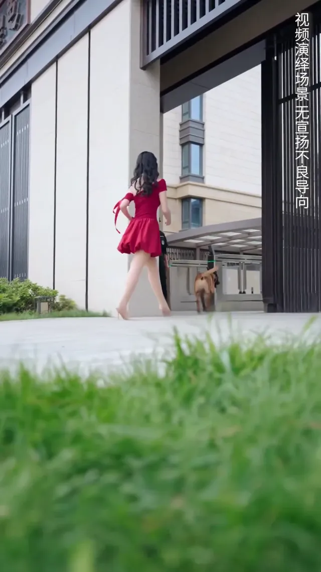 Hình ảnh phim Người nuôi chó văn minh trên PhimMoiHot Hình ảnh phim Người nuôi chó văn minh trên PhimMoiHot