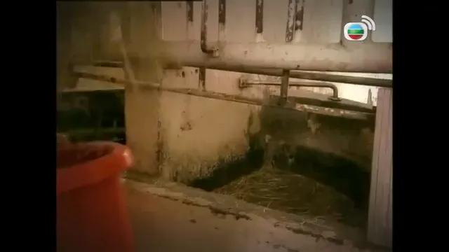 Đường đua chiến thắng 2008 Vietsub HD - PhimMoiHot Đường đua chiến thắng 2008 Vietsub HD - PhimMoiHot
