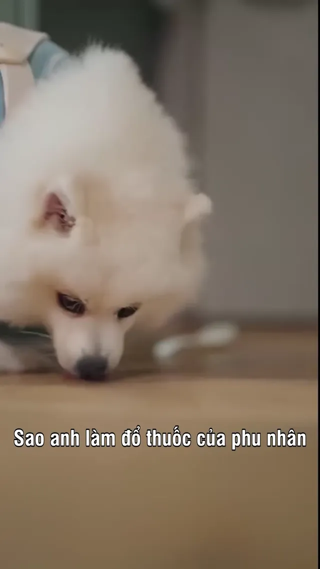 Hôn Nhân Chết Chóc tập 13 Vietsub HD - PhimMoiHot Hôn Nhân Chết Chóc tập 13 Vietsub HD - PhimMoiHot