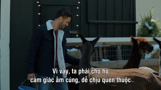 Hình ảnh Giáng sinh dưới ánh đèn tập 1 trên PhimMoiHot Hình ảnh Giáng sinh dưới ánh đèn tập 1 trên PhimMoiHot