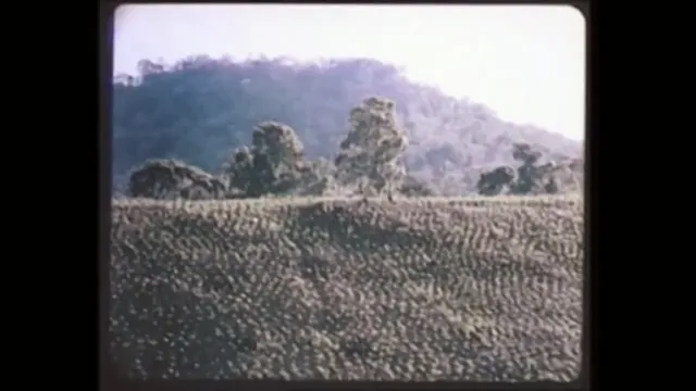 Đất Nước Đứng Lên tập 1 Vietsub HD - PhimMoiHot Đất Nước Đứng Lên tập 1 Vietsub HD - PhimMoiHot