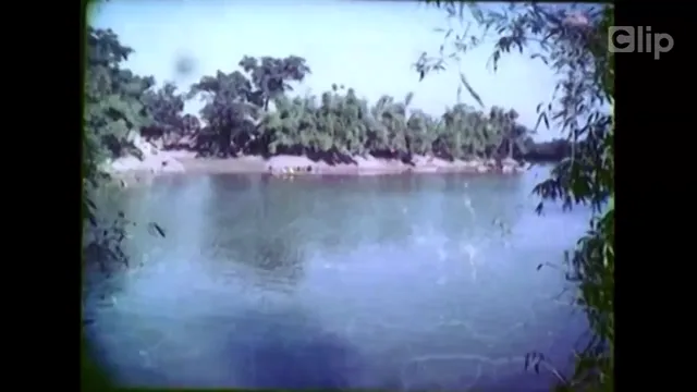 Hình ảnh phim Đàn Chim Trở Về trên PhimMoiHot Hình ảnh phim Đàn Chim Trở Về trên PhimMoiHot