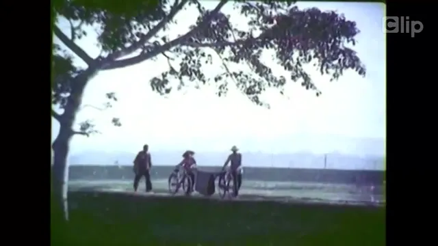 Đàn Chim Trở Về 1984 Vietsub HD - PhimMoiHot Đàn Chim Trở Về 1984 Vietsub HD - PhimMoiHot