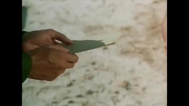 Cỏ Lau 1993 Vietsub HD - PhimMoiHot Cỏ Lau 1993 Vietsub HD - PhimMoiHot