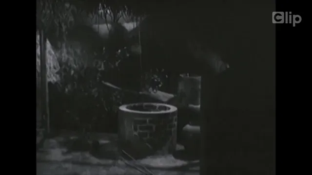 Chị Nhàn 1980 Vietsub HD - PhimMoiHot Chị Nhàn 1980 Vietsub HD - PhimMoiHot