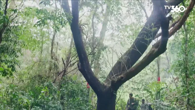 Xem phim Ký Ức Tình Thù Vietsub HD tại PhimMoiHot Xem phim Ký Ức Tình Thù Vietsub HD tại PhimMoiHot