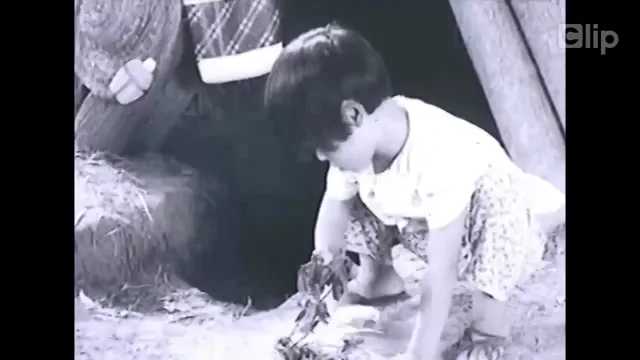 Bình Minh Xôn Xao 1977 Vietsub HD - PhimMoiHot Bình Minh Xôn Xao 1977 Vietsub HD - PhimMoiHot