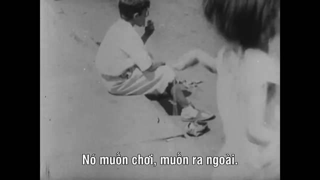 Xem Đạo Diễn Martin Scorsese tập 1 Vietsub tại PhimMoiHot Xem Đạo Diễn Martin Scorsese tập 1 Vietsub tại PhimMoiHot