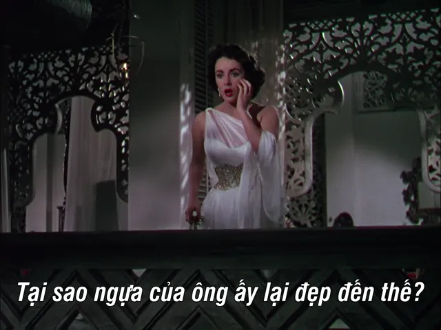 Voi đi bộ 1954 Vietsub HD - PhimMoiHot Voi đi bộ 1954 Vietsub HD - PhimMoiHot