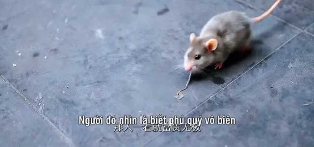 Hình ảnh Bổn Huyền Nha Là Phúc Tinh tập 10 trên PhimMoiHot Hình ảnh Bổn Huyền Nha Là Phúc Tinh tập 10 trên PhimMoiHot