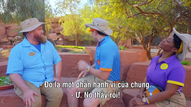 Hình ảnh Blippi đi làm (Phần 2) tập 2 trên PhimMoiHot Hình ảnh Blippi đi làm (Phần 2) tập 2 trên PhimMoiHot