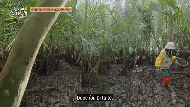 Hương Vị Của Biển (Phần 3) tập 5 Vietsub HD - PhimMoiHot Hương Vị Của Biển (Phần 3) tập 5 Vietsub HD - PhimMoiHot