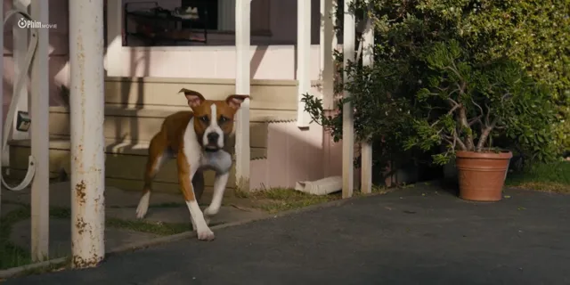 Hình ảnh phim Thanh Tra Ballard trên PhimMoiHot Hình ảnh phim Thanh Tra Ballard trên PhimMoiHot