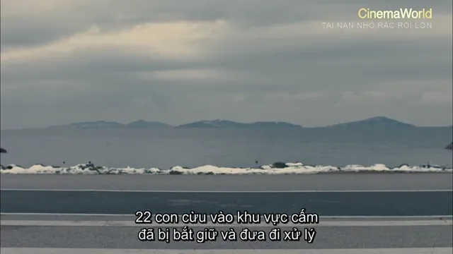 Xem phim Tai Nạn Nhỏ Rắc Rối Lớn Vietsub HD tại PhimMoiHot Xem phim Tai Nạn Nhỏ Rắc Rối Lớn Vietsub HD tại PhimMoiHot
