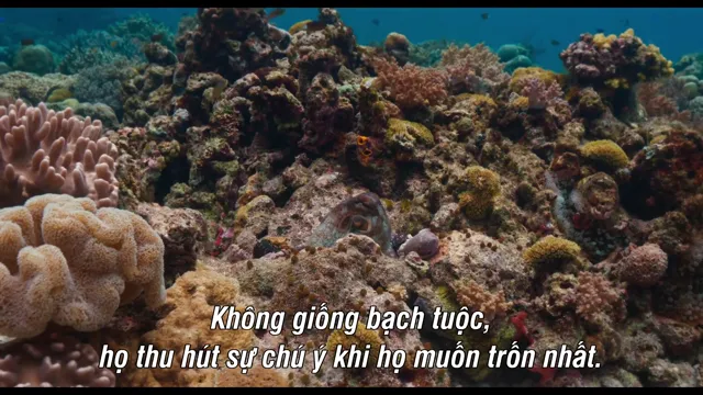 Hình ảnh phim Kỷ vật vô giá trên PhimMoiHot Hình ảnh phim Kỷ vật vô giá trên PhimMoiHot