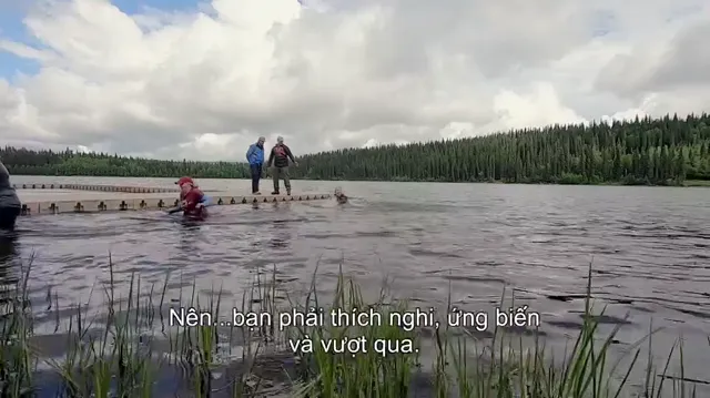 Người thừa kế vùng hoang dã 2020 Vietsub HD - PhimMoiHot Người thừa kế vùng hoang dã 2020 Vietsub HD - PhimMoiHot