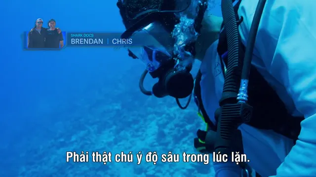 Xem Đi tìm cá mập tập 6 Vietsub tại PhimMoiHot Xem Đi tìm cá mập tập 6 Vietsub tại PhimMoiHot