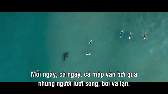 Người bạn của cá mập tập 1 Vietsub HD - PhimMoiHot Người bạn của cá mập tập 1 Vietsub HD - PhimMoiHot
