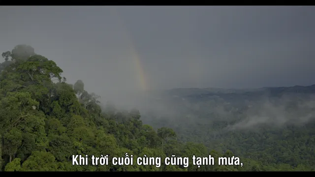 Hình ảnh phim Orangutan trên PhimMoiHot Hình ảnh phim Orangutan trên PhimMoiHot