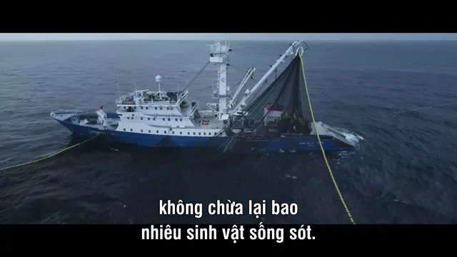 Hình ảnh Ocean with David Attenborough tập 1 trên PhimMoiHot Hình ảnh Ocean with David Attenborough tập 1 trên PhimMoiHot