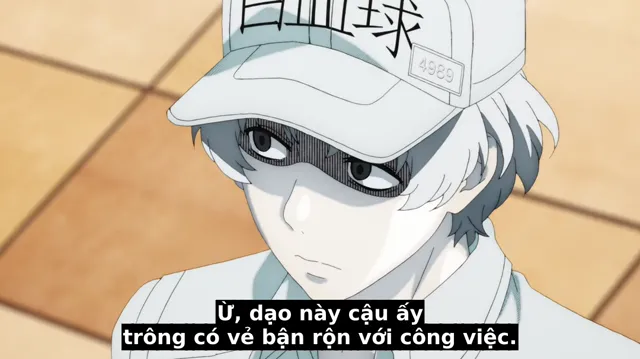 Xem Khi Các Tế Bào Làm Việc (Phần 2) tập 2 Vietsub tại PhimMoiHot Xem Khi Các Tế Bào Làm Việc (Phần 2) tập 2 Vietsub tại PhimMoiHot