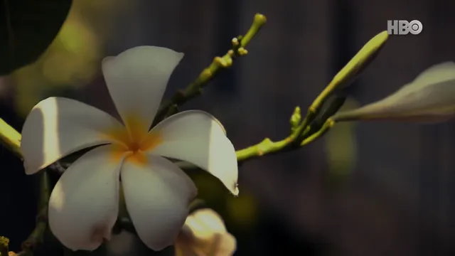 Người Thân Yêu Ơi 2013 Vietsub HD - PhimMoiHot Người Thân Yêu Ơi 2013 Vietsub HD - PhimMoiHot