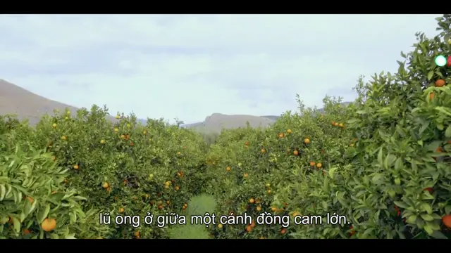 Hình ảnh Bánh Quế + Mochi: Mở nhà hàng tập 1 trên PhimMoiHot Hình ảnh Bánh Quế + Mochi: Mở nhà hàng tập 1 trên PhimMoiHot