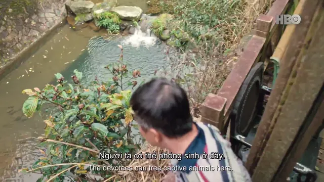 Hình ảnh phim Người Làm Công trên PhimMoiHot Hình ảnh phim Người Làm Công trên PhimMoiHot
