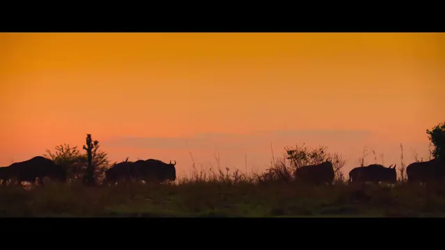 Vũ trụ tập 3 Vietsub HD - PhimMoiHot Vũ trụ tập 3 Vietsub HD - PhimMoiHot