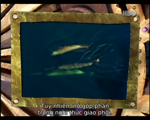 Hộp Va Chạm (Phần 2) tập 8 Vietsub HD - PhimMoiHot Hộp Va Chạm (Phần 2) tập 8 Vietsub HD - PhimMoiHot