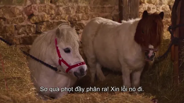 Xem phim Giáng sinh ở trang trại tầm gửi Vietsub HD tại PhimMoiHot Xem phim Giáng sinh ở trang trại tầm gửi Vietsub HD tại PhimMoiHot