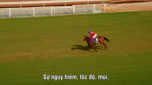 Phi Nước Kiệu Đến Ngôi Vương tập 6 Vietsub HD - PhimMoiHot Phi Nước Kiệu Đến Ngôi Vương tập 6 Vietsub HD - PhimMoiHot