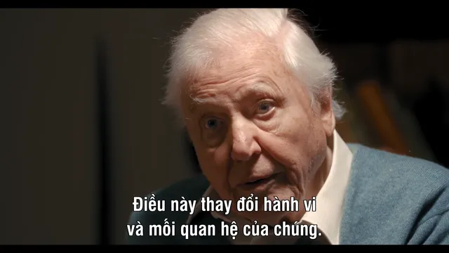 Hành Trình Của Khỉ Đột – Qua Giọng Kể David Attenborough 2026 Vietsub HD - PhimMoiHot Hành Trình Của Khỉ Đột – Qua Giọng Kể David Attenborough 2026 Vietsub HD - PhimMoiHot