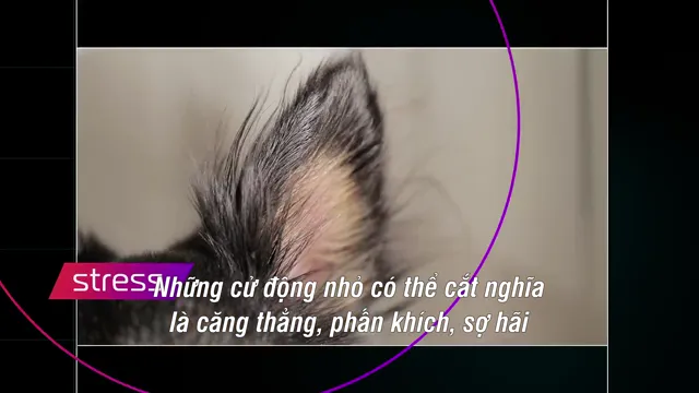 Xem phim Tương lai của… Vietsub HD tại PhimMoiHot Xem phim Tương lai của… Vietsub HD tại PhimMoiHot