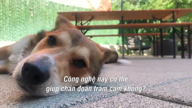 Hình ảnh phim Tương lai của… trên PhimMoiHot Hình ảnh phim Tương lai của… trên PhimMoiHot