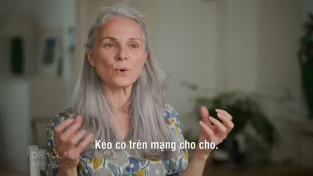 Tương lai của… 2022 Vietsub HD - PhimMoiHot Tương lai của… 2022 Vietsub HD - PhimMoiHot