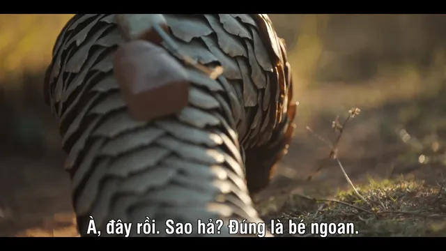 Loài tê tê: Hành trình của Kulu 2025 Vietsub HD - PhimMoiHot Loài tê tê: Hành trình của Kulu 2025 Vietsub HD - PhimMoiHot