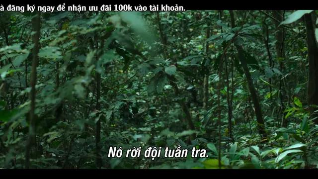 Đế chế tinh tinh tập 1 Vietsub HD - PhimMoiHot Đế chế tinh tinh tập 1 Vietsub HD - PhimMoiHot